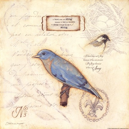 Framed Color Bird III Print