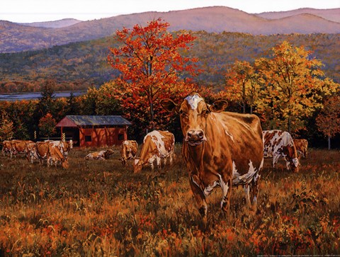 Framed Autumn's Gold Print