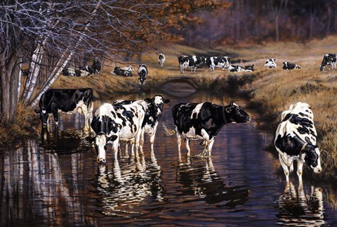 Framed Fall Reflections Print