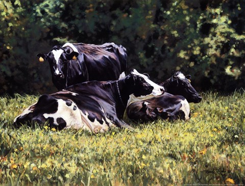 Framed Beautiful Cow Print