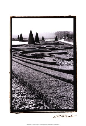 Framed Palace of Versailles Garden II Print