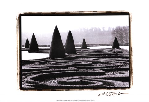 Framed Palace of Versailles Garden I Print
