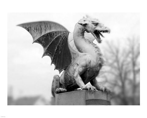Framed Dragon Statue Print