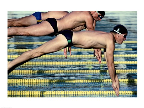 Framed Side profile of three swimmers jumping into a swimming pool Print