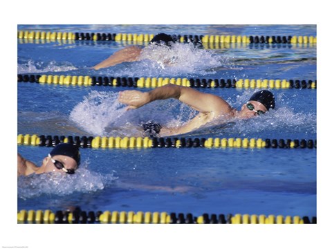 Framed Three swimmers racing in a swimming pool Print