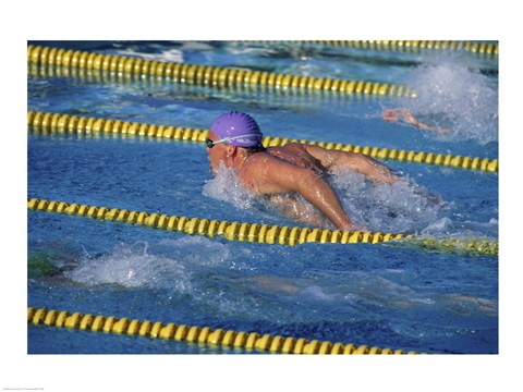 Framed Swimmer racing in a swimming pool Print