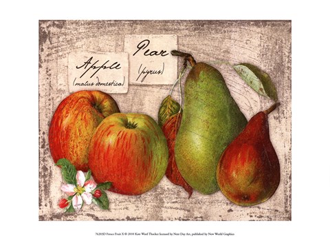Framed Fresco Fruit X Print