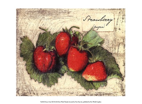 Framed Fresco Fruit XII Print