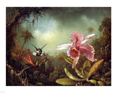Framed Orchid with Two Hummingbirds 1871 Print