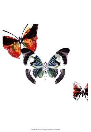 Framed Butterflies Dance III Print