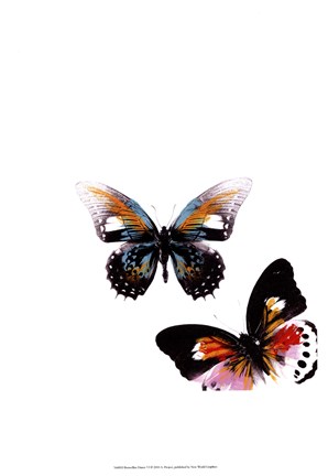 Framed Butterflies Dance VI Print