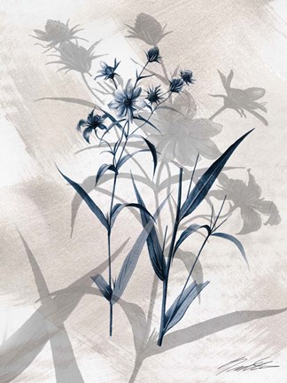 Framed Indigo Bloom IV Print