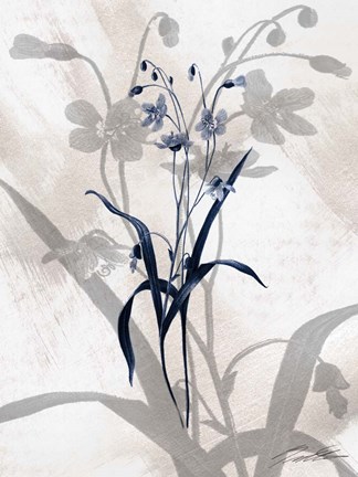 Framed Indigo Bloom III Print