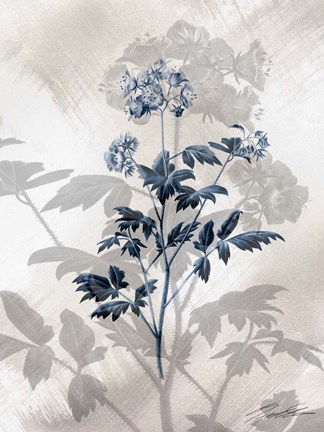 Framed Indigo Bloom II Print