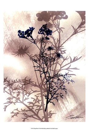 Framed Indigo Bloom I Print