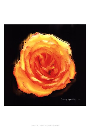 Framed Vibrant Flower II Print