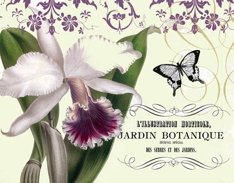 Framed Jardin I Print