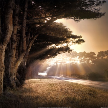 Framed No Place To Fall Print