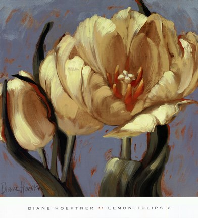 Framed Lemon Tulips 2 Print
