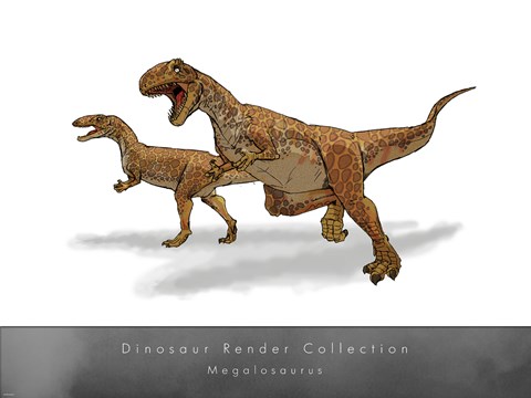 Framed Megalosaurus Print