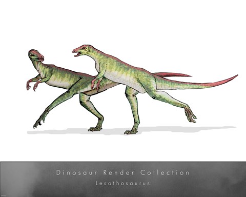 Framed Lesothosaurus Print