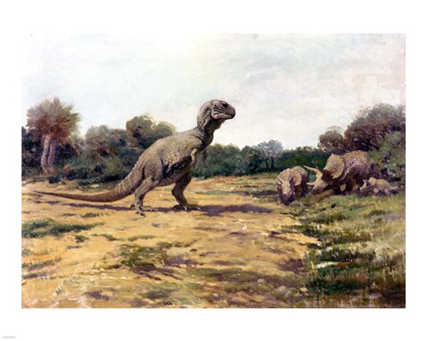 Framed T Rex Posture Print