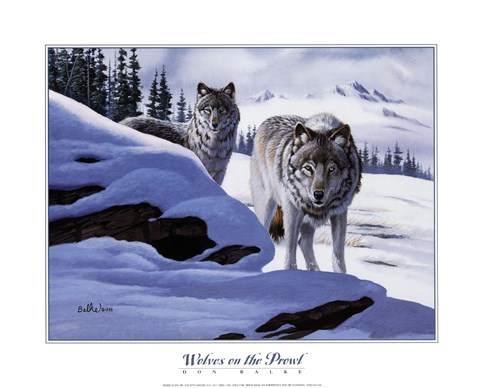 Framed Wolves On The Prowl Print