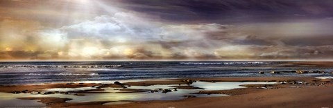 Framed TIDAL POOL Print