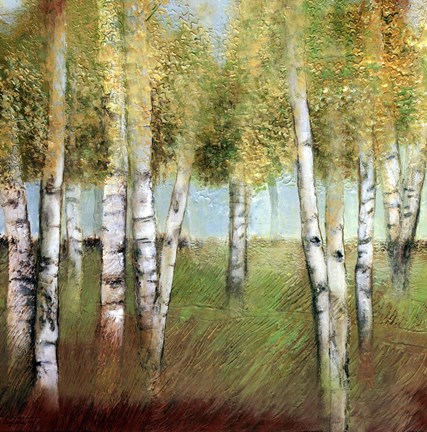 Framed BIRCH WOODS II Print