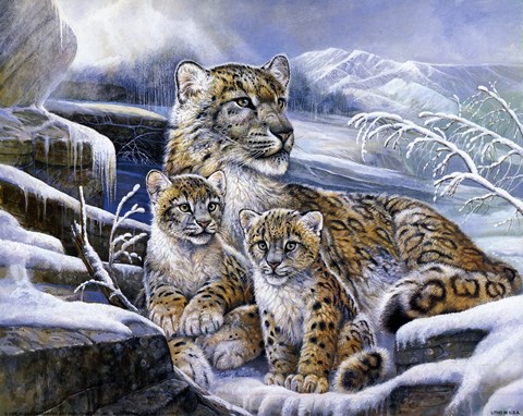 Framed Snow Leopards Print