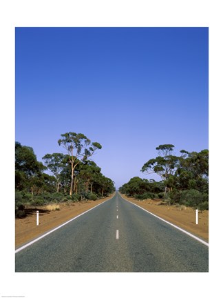 Framed Road passing through a forest, Western Australia, Australia Print