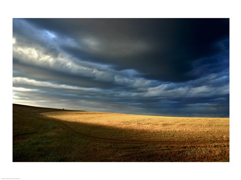 Framed Storm clouds over a landscape, Eyre Peninsula, Australia Print