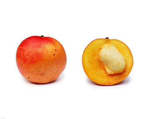 Framed Apple Mango and Cross Section Print