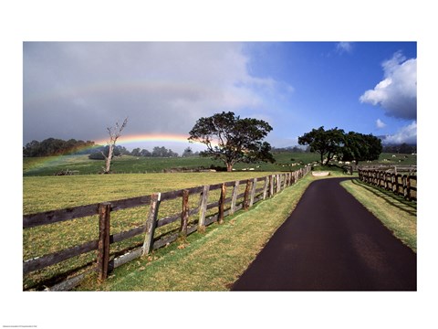 Framed Rainbow over pineapple fields, Makawao, Maui, Hawaii, USA Print