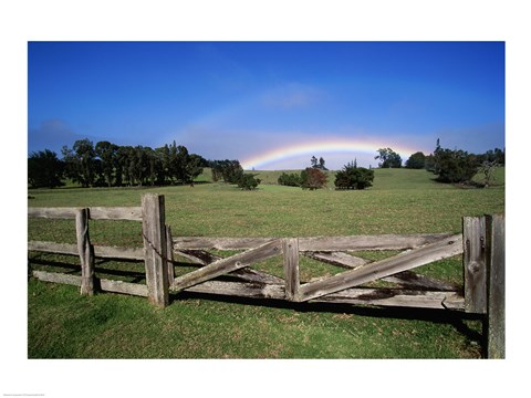 Framed Wooden fence enclosing a field with a rainbow in the background, Maui, Hawaii, USA Print