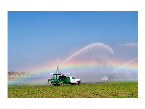 Framed Rainbow seen under the spray from sprinkler in a vegetable field, Florida, USA Print