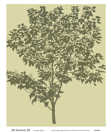 Framed All American III Print