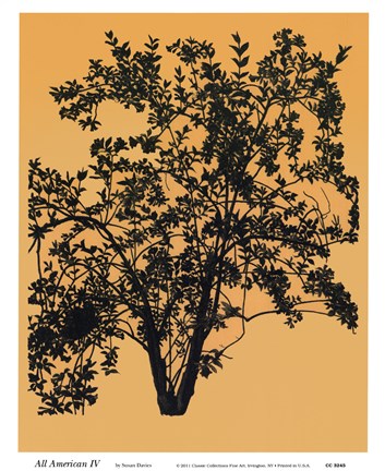 Framed All American  IV Print