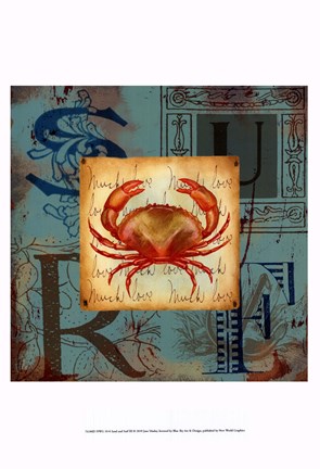 Framed Sand and Surf III Print