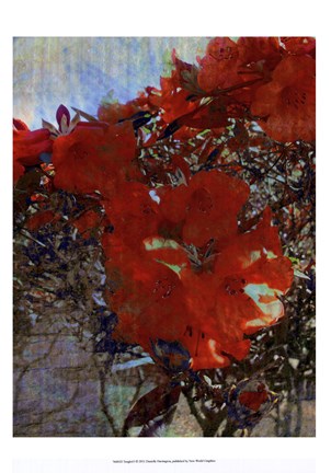 Framed Tangled I Print