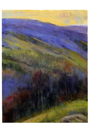 Framed Mountain View IV Print