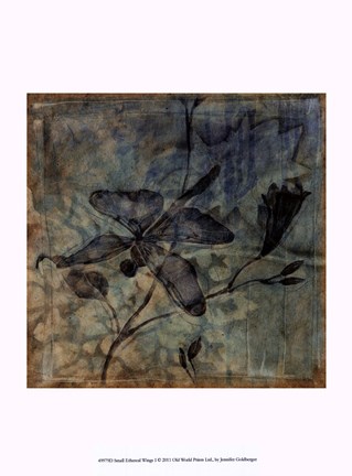 Framed Small Ethereal Wings I Print