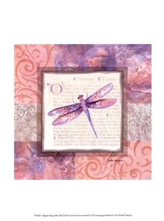 Framed Collaged Dragonflies III Print