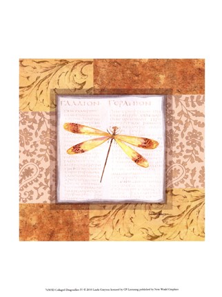 Framed Collaged Dragonflies IV Print