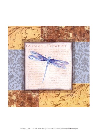Framed Collaged Dragonflies V Print