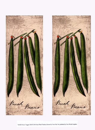 Framed Fresco Veggies XIII Print