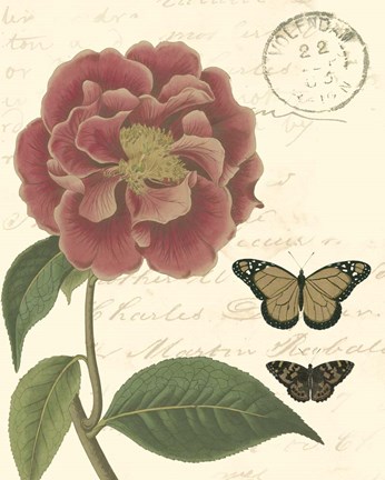Framed Small Vintage Floral III Print