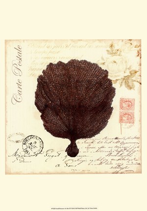 Framed Small Romance du Mer II Print