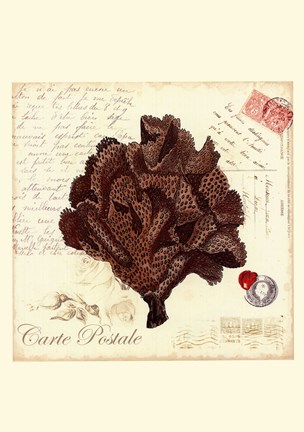 Framed Small Romance du Mer IV Print