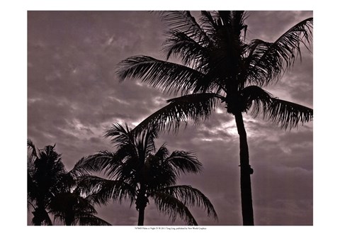 Framed Palms At Night IV Print